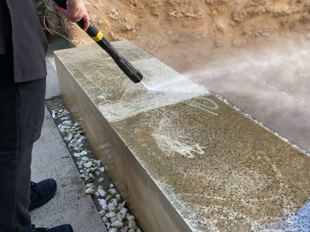 Best Local Pressure Washing Services  in Arbutus, MD