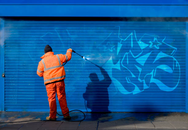 Best Local Pressure Washing Services  in Arbutus, MD