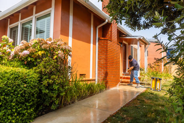 Local Pressure Washing Services in Arbutus, MD