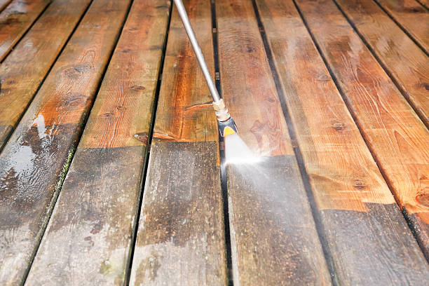 Best Residential Pressure Washing Services  in Arbutus, MD