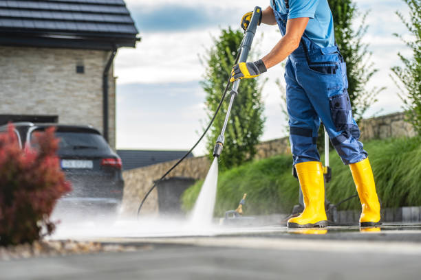 Best Roof Power Washing Services  in Arbutus, MD