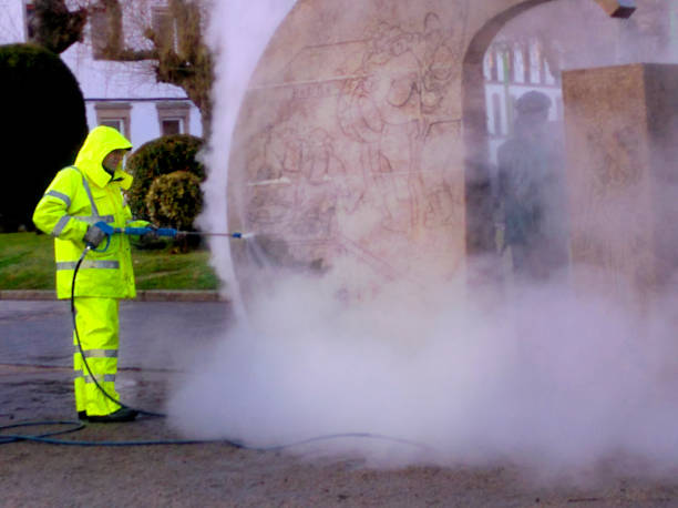 Best Concrete Pressure Washing  in Arbutus, MD