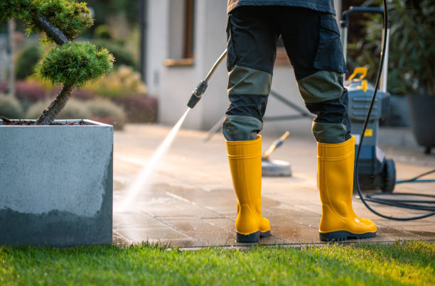 Best Deck Cleaning Services  in Arbutus, MD